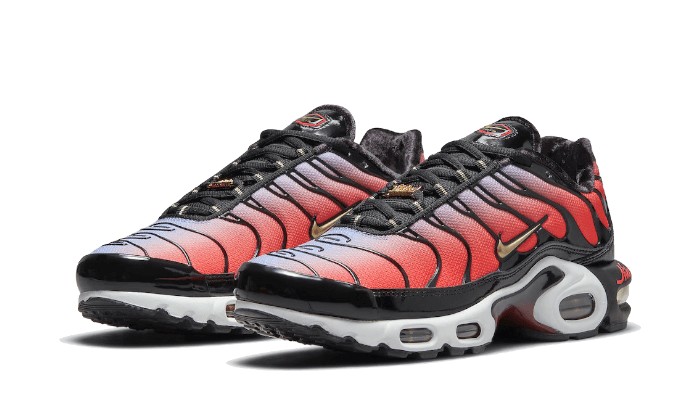 Nike Air Max Plus Tn Sisterhood Kicks fashion
