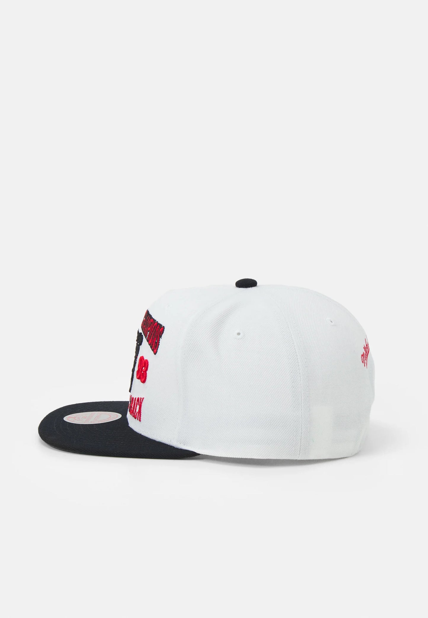 Mitchell & Ness NBA CHICAGO BULLS BACK TO 93 SNAPBACK