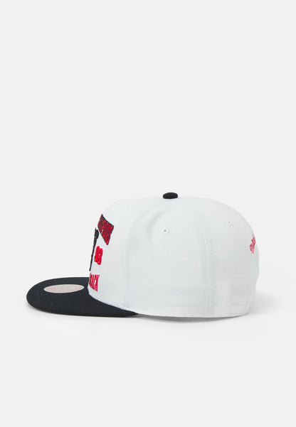Mitchell & Ness NBA CHICAGO BULLS BACK TO 93 SNAPBACK