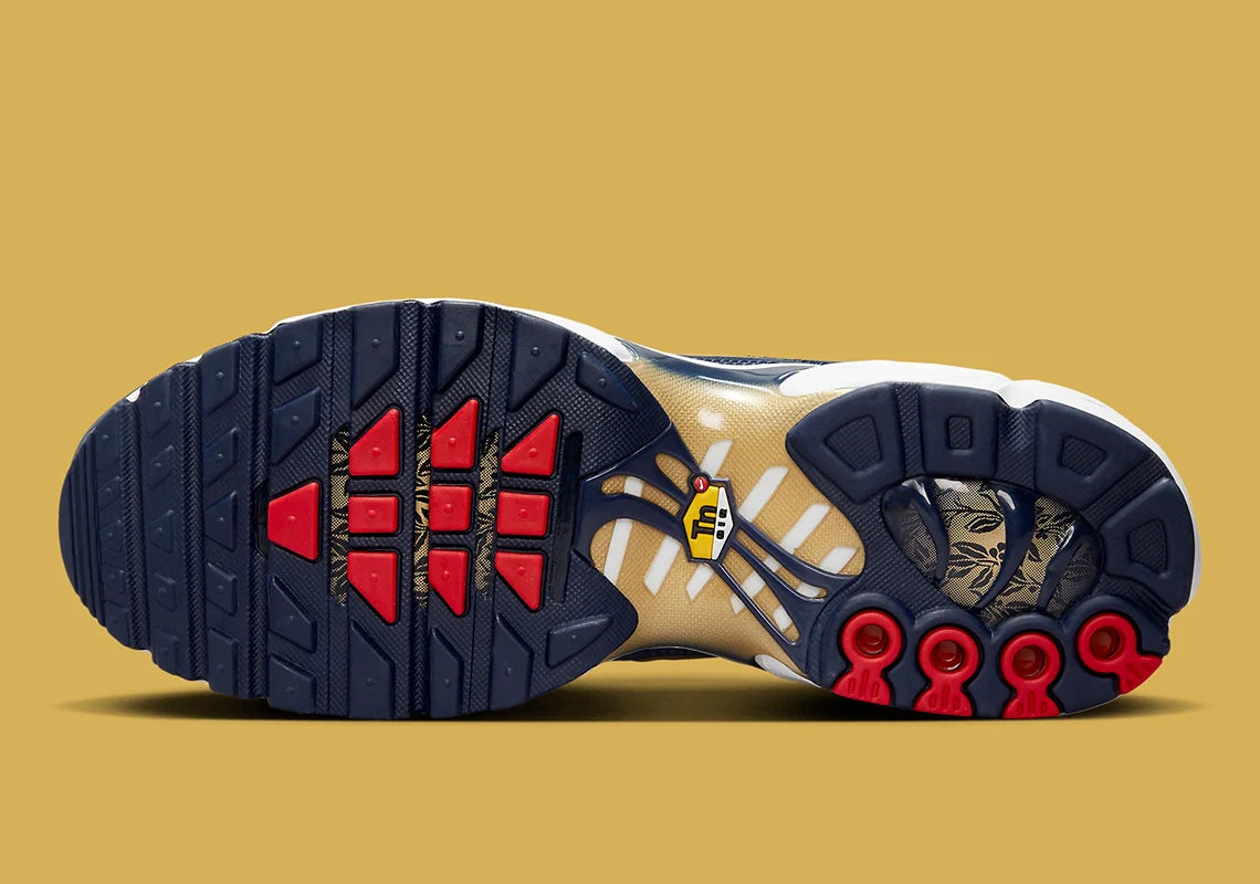 Nike Air Max Plus FFF kicks fashion
