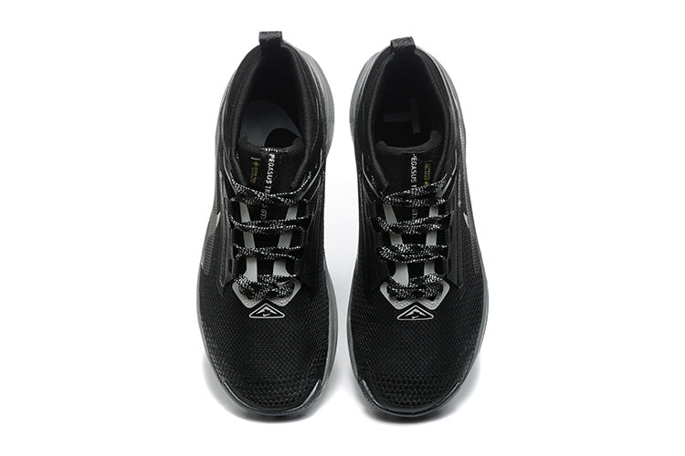 Nike Pegasus Trail 5 GORE-TEX noir et gris – vue 1