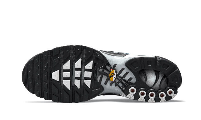 Nike Air Max Plus Tn Dark Smoke Grey