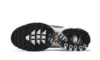 Nike Air Max Plus Tn Dark Smoke Grey