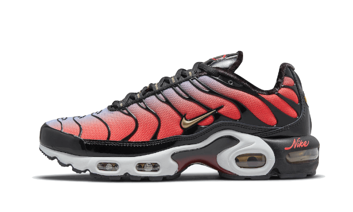 Nike Air Max Plus Tn Sisterhood