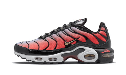 Nike Air Max Plus Tn Sisterhood