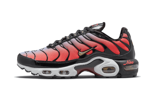 Nike Air Max Plus Tn Sisterhood