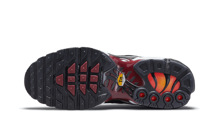 Nike Air Max Plus Tn Sisterhood