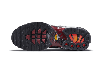 Nike Air Max Plus Tn Sisterhood