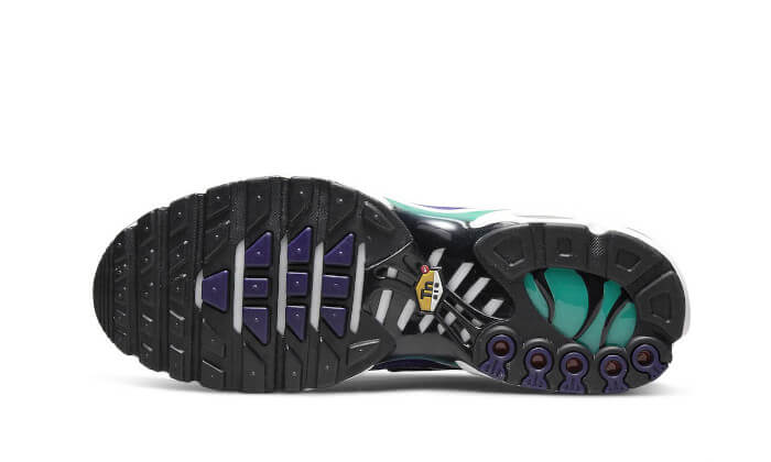 Nike Air Max Plus Tn White Grape Ice