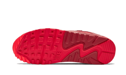 Nike Air Max 90 Chi-City Special