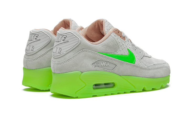 Nike Air Max 90 New Species
