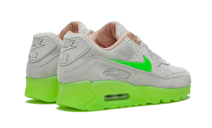 Nike Air Max 90 New Species