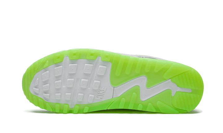 Nike Air Max 90 New Species
