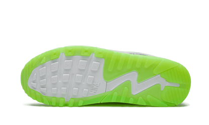 Nike Air Max 90 New Species