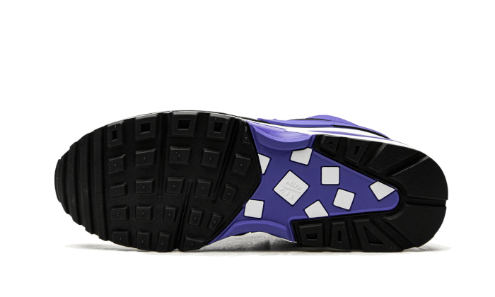 Nike Air Max BW Persian Violet