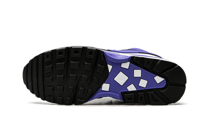 Nike Air Max BW Persian Violet