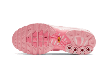 Nike Air Max Plus Tn Atlanta