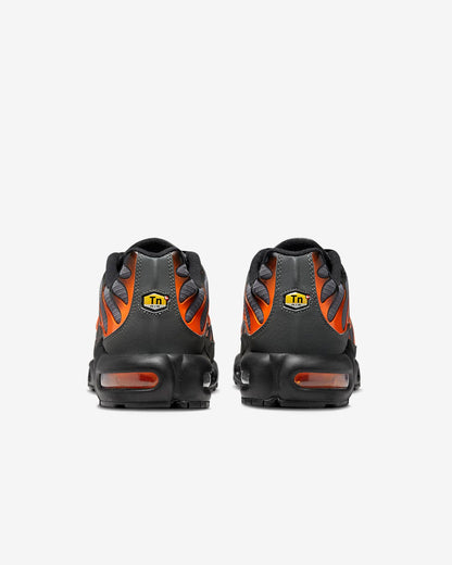 Nike air max plus tn