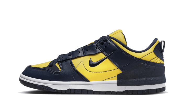 Nike

Dunk Low Disrupt 2 Michigan