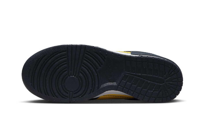 Nike

Dunk Low Disrupt 2 Michigan