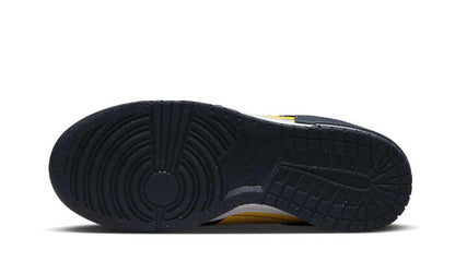 Nike

Dunk Low Disrupt 2 Michigan