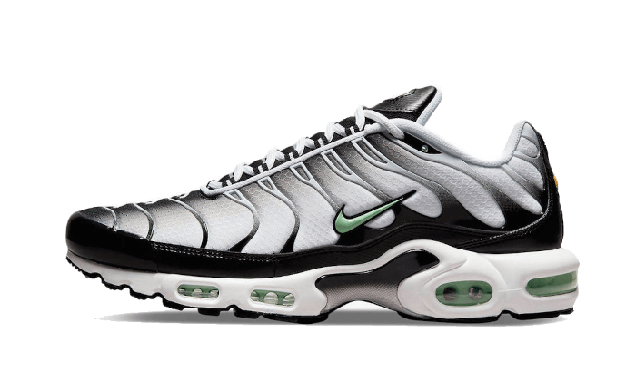 Nike Air Max Plus Tn Seafoam Grey Black