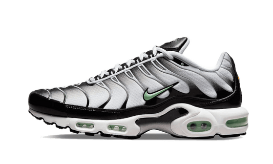 Nike Air Max Plus Tn Seafoam Grey Black